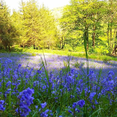 אוקהמפטון Lobhill Farmhouse Bed And Breakfast And Self Catering Accommodation מראה חיצוני תמונה
