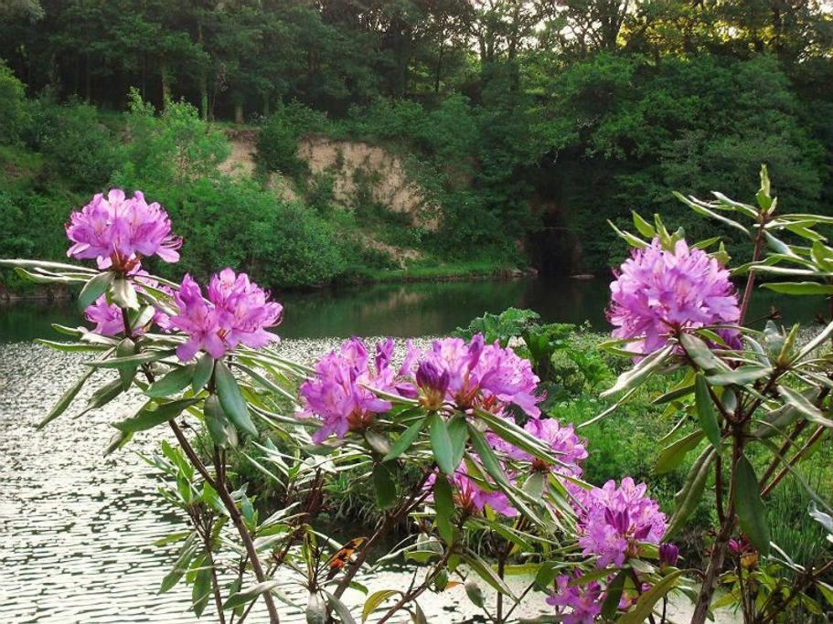 אוקהמפטון Lobhill Farmhouse Bed And Breakfast And Self Catering Accommodation חדר תמונה