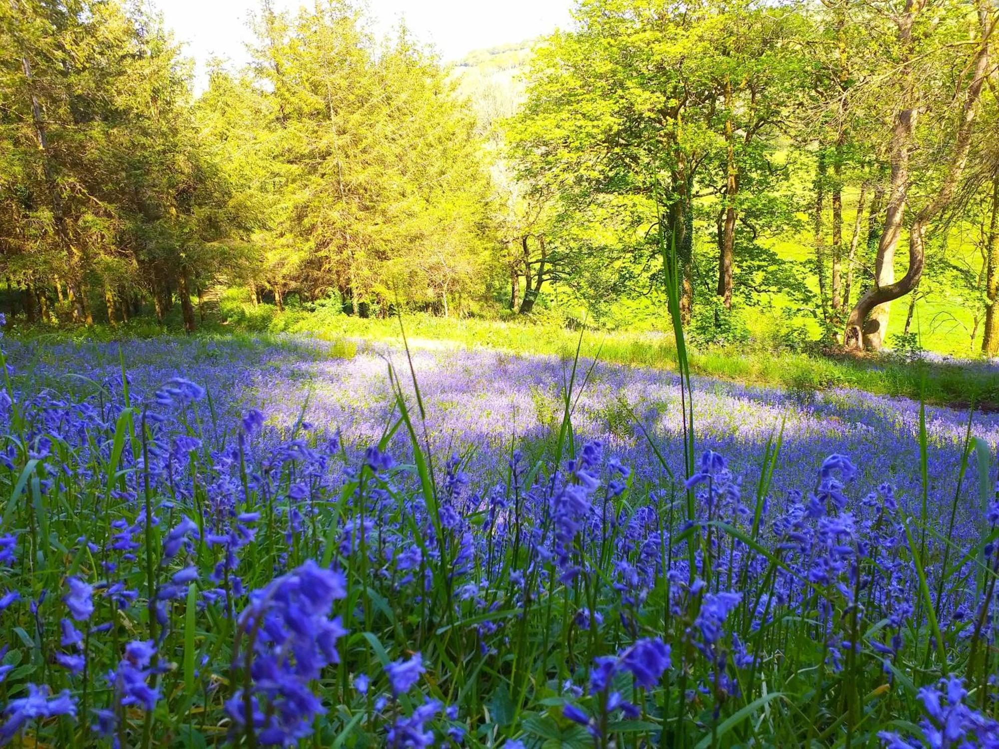 אוקהמפטון Lobhill Farmhouse Bed And Breakfast And Self Catering Accommodation מראה חיצוני תמונה